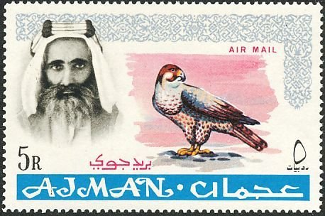 Shaikh Rashid and Lanner Falcon (Falco biarmicus)