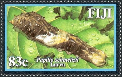 Stamp, Fiji Swallowtail (Papilio schmeltzii), Fiji,  , Insects, Caterpillars, Animals (Fauna)