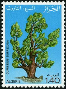 Stamp, Cupressus dupreziana, Algeria,  , Trees