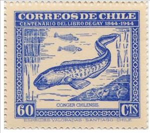 Stamp, Red Cusk-eel (Genipterus chilensis), Chile,  , Animals (Fauna), Fishes