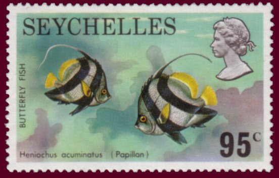 Pennant Coralfish (Heniochus acuminatus)
