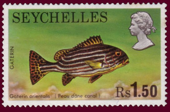 Oriental Sweetlips (Gaterin orientalis)