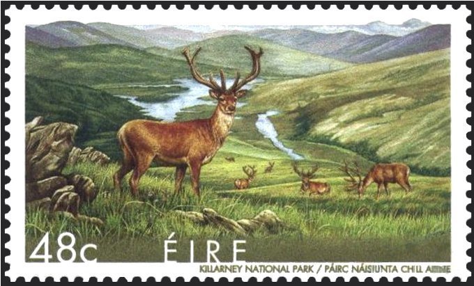 Killarney National Park