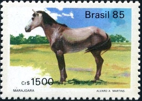 Marajoara (Equus ferus caballus)