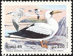 Stamp, Masked Booby (Sula dactylatra), Brazil,  , Birds, Animals (Fauna)