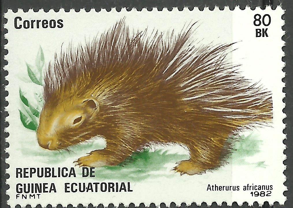 African brush-tailed Porcupine (Atherurus africanus)