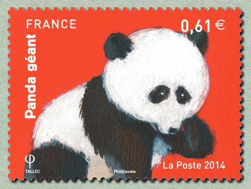 Giant Panda (Ailuropoda melanoleuca)