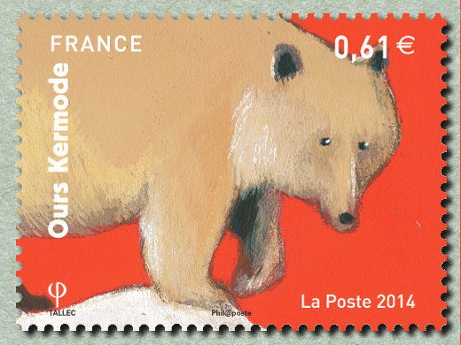 Kermode Bear (Ursus americanus kermodei)