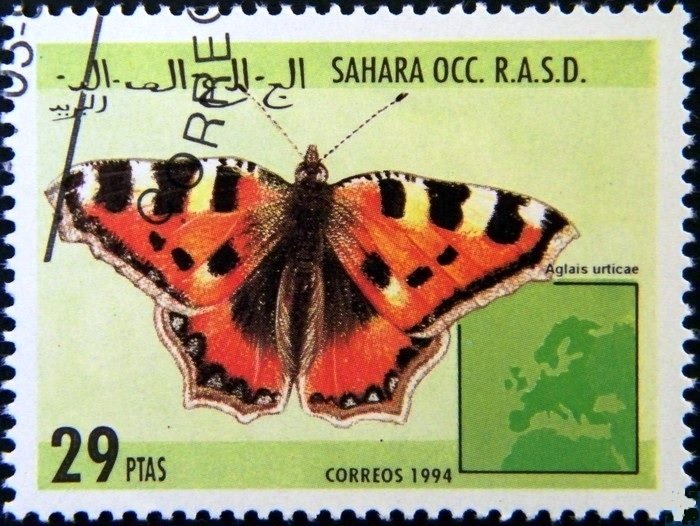 Aglais urticae