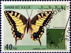 Stamp, Papilio machaon, Western Sahara - Vignettes,  , Butterflies