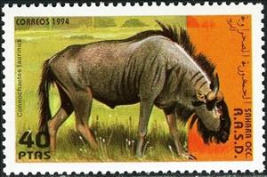 Stamp, Blue wildebeest (Connochaetes taurinus), Western Sahara - Vignettes,  , Antelopes, Animals (Fauna)
