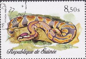Stamp, Ball Phyton (Python regius), Guinea, Social Democratic Republic,  , Reptiles, Snakes, Animals (Fauna)
