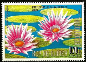 Stamp, Nymphaea zanzibariensis, Equatorial Guinea,  , Flowers, Plants (Flora)