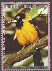 Stamp, Trupial, Equatorial Guinea,  , Birds, Animals (Fauna)