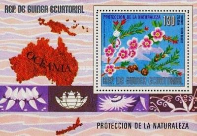 Souvenir Sheet, Leptospermum persiciflorum, Equatorial Guinea,  , Flowers, Maps, Plants (Flora)