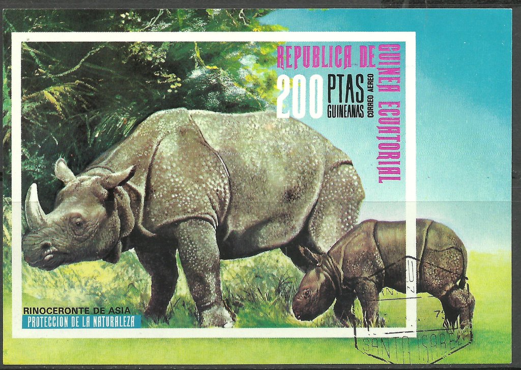 Indian Rhinoceros (Rhinoceros unicornis)