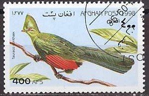 Knysna Turaco (Tauraco corithaix)