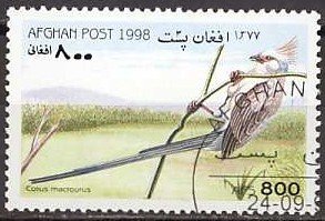 Stamp, Blue-naped Mousebird (Colius macrourus), Afghanistan,  , Birds