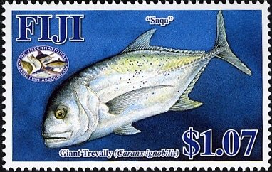 Giant Trevally (Caranx ignobilis)