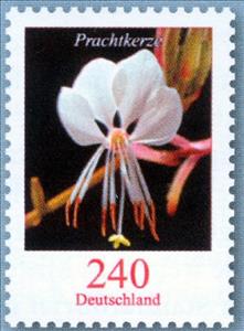 Stamp, White Gaura - Prachtkerze, Germany, Federal Republic,  