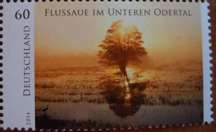 Floodplain in the Lower Oder Valley