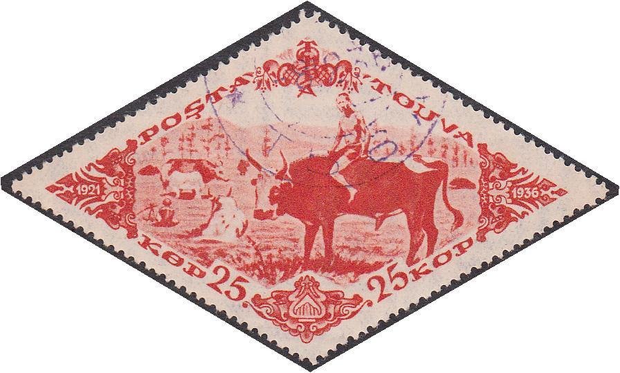 Boy riding yak