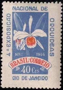 Stamp, Cattleya purpurata, Brazil,  , Flowers, Expositions, Orchids, Plants (Flora)