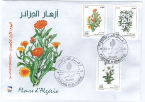Algerian's Flowers