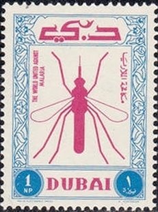 Anopheles Mosquito (Anopheles sp.)