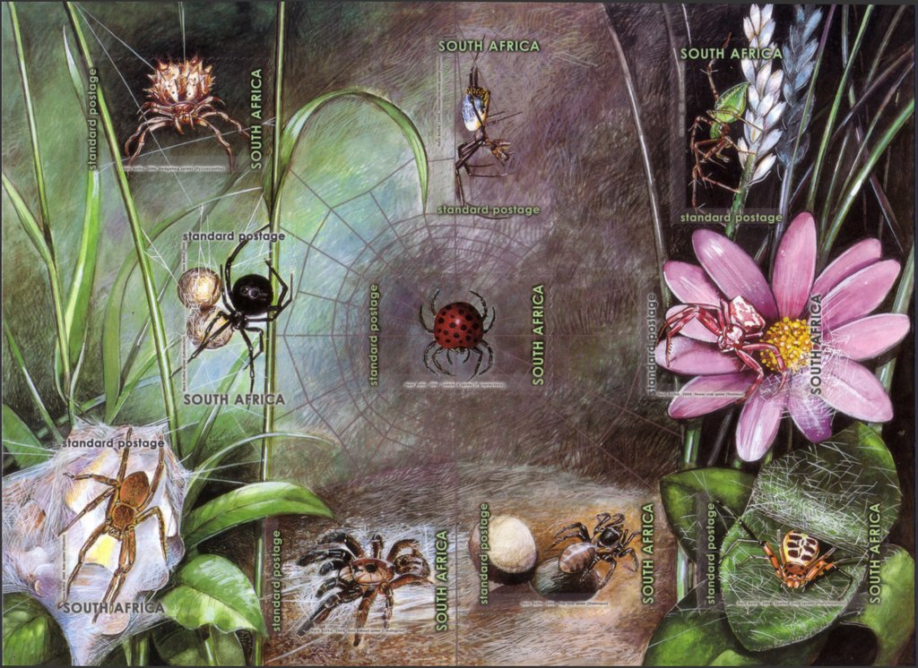Spiders - MiNo. 1565-74