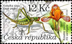 Stamp, Predatory Bush Cricket (Saga pedo), Hungarian Iris (Iris var, Czech Republic,  , Flowers, Insects, Orchids, Animals (Fauna)