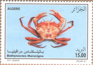 Stamp, Crab (Bathynectes maravigna), Algeria,  , Crustaceans