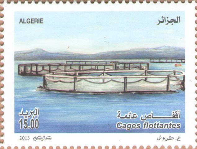 Floating cages