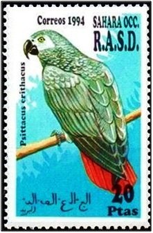 Stamp, Pittacus erithacus, Western Sahara - Vignettes,  , Birds, Parrots, Animals (Fauna)