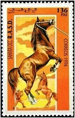 Horse