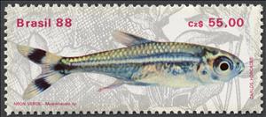 Stamp, Green Neon (Hemigrammus hyanuary), Brazil,  , Fishes