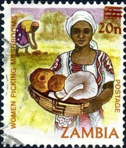Stamp, Mushroom picking, Zambia,  , Mushrooms