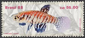 Stamp, (Cynolebias xavantei) , Brazil,  , Fishes