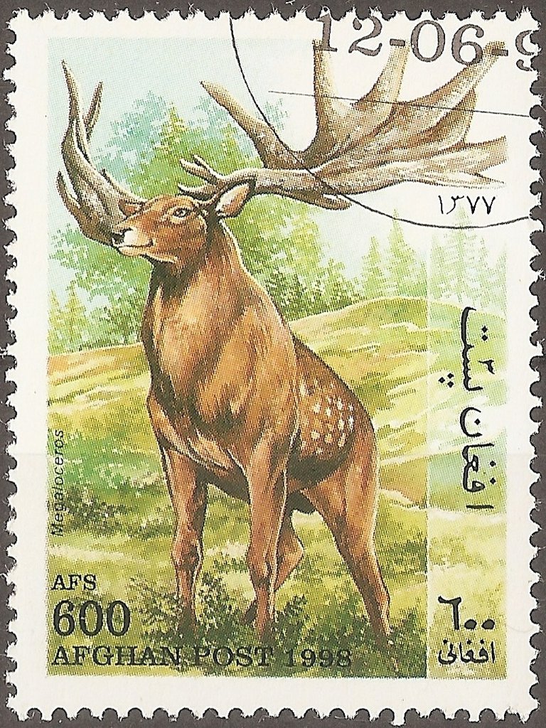Megaloceros giganteus