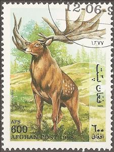 Stamp, Megaloceros giganteus, Afghanistan,  , Animals (Fauna), Deer