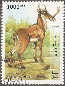 Stamp, Synthetoceras, Afghanistan,  , Animals (Fauna)