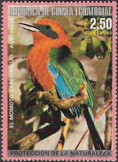 Rufous-capped Motmot (Baryphthengus ruficapillus)