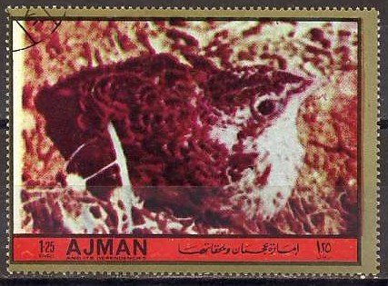 Common Quail