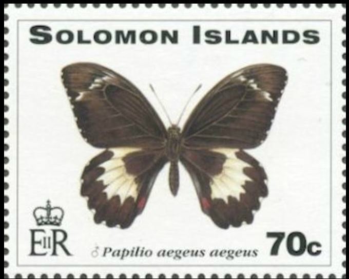 Orchard Swallwtail (Papilio aegeus aegeus)