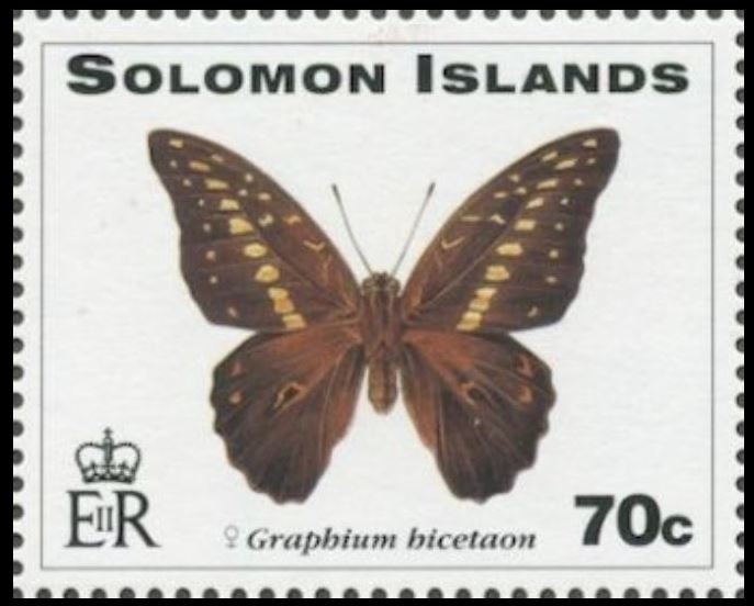 Swallowtail Butterfly (Graphium hicetaon)