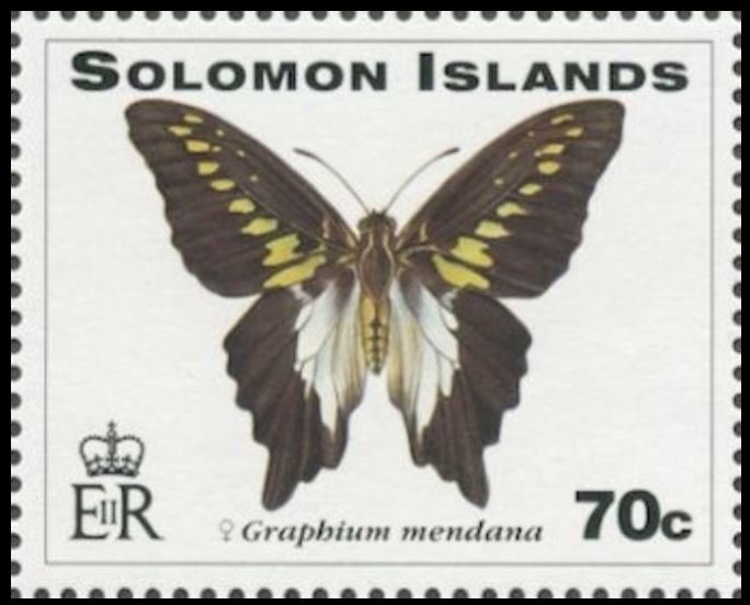 Swallowtail Butterfly (Graphium mendana)