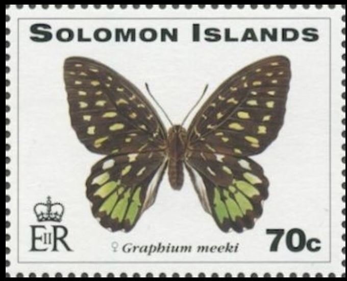 Meek's Graphium (Graphium meeki)