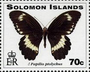Stamp, Swallowtail Butterfly (Papilio ptolychus), Solomon Islands,  , Butterflies