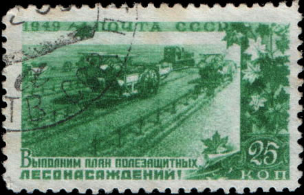 Посадка полезащитных лесонасаждений