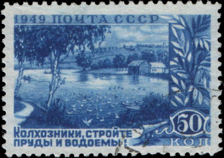Колхозный пруд